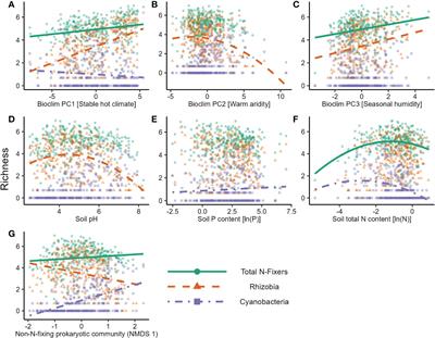 Global diversity and distribution of nitrogen-fixing bacteria in the soil